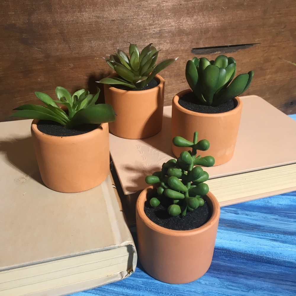 Mini faux potted succulents